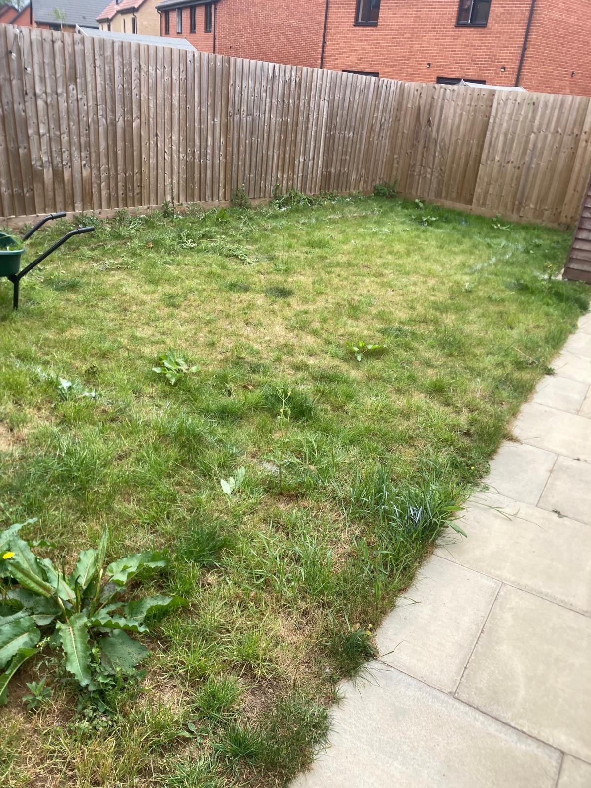 Full Garden Transformation — before