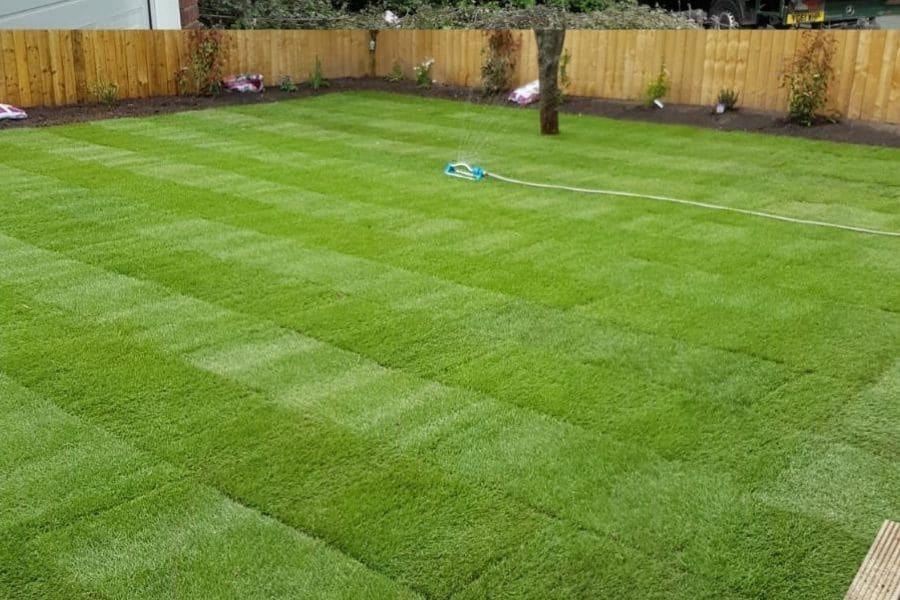 Manicured lawn care and maintenance